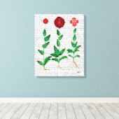 Toile Carnation italienne 2 (Insitu (Plancher de Bois))