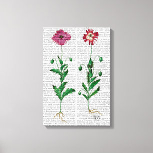 Toile Carnation italienne 3
