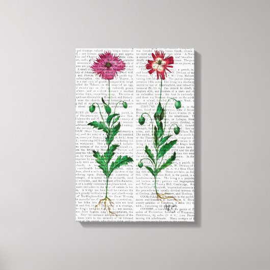 Toile Carnation italienne 3 (Recto)