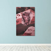 Toile Carnitine (Insitu (Plancher de Bois))