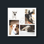 Toile Carré Personnalisé Famille Animaux de compagnie 4<br><div class="desc">Capturez les souvenirs de l'année dans une impression carré personnalisable avec quatre de vos photos d'animaux de compagnie préférées,  nom et année.</div>