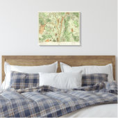 Toile Carte de classification des terres du Nouveau-Mexi (Insitu(Chambre))