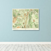 Toile Carte de classification des terres du Nouveau-Mexi (Insitu (Plancher de Bois))