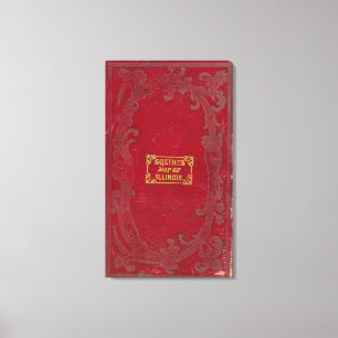 Toile Carte de l'Illinois 2