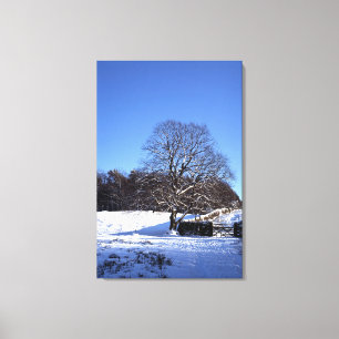 Toile Carte de vacances de Winter Tree Lyme Park