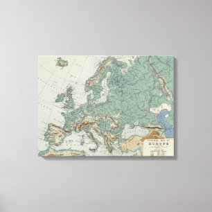 Toile Carte physique de l'Europe