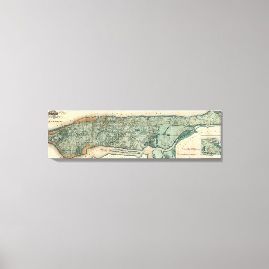 Toile Carte sanitaire et topographique de New York (Recto)