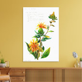 Toile Carthamus Tinctoria (Insitu(Salon))