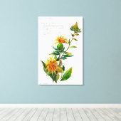 Toile Carthamus Tinctoria (Insitu (Plancher de Bois))