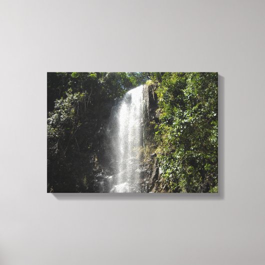 Toile Cascade à Kauai, Hawaï (Recto)