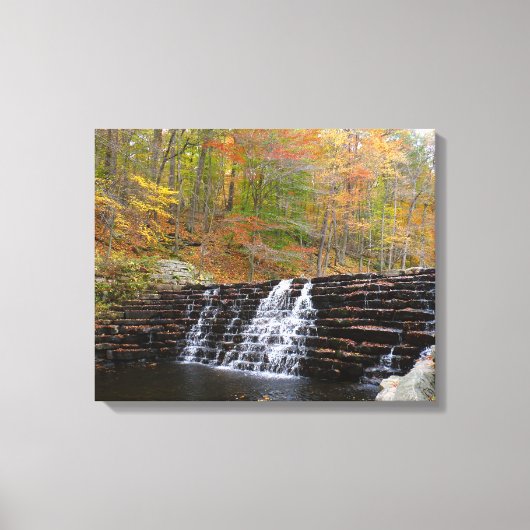 Toile Cascade à Laurel Hill State Park I (Recto)