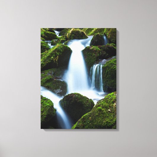 Toile Cascade Art-Toile (Recto)