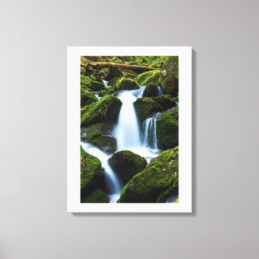 Toile Cascade Art-Toile (Recto)