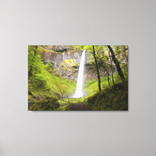 Toile Cascade brouillée autour de verdure luxuriante en