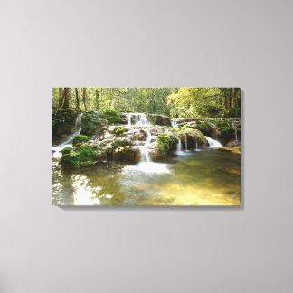 Toile Cascade dans la forêt