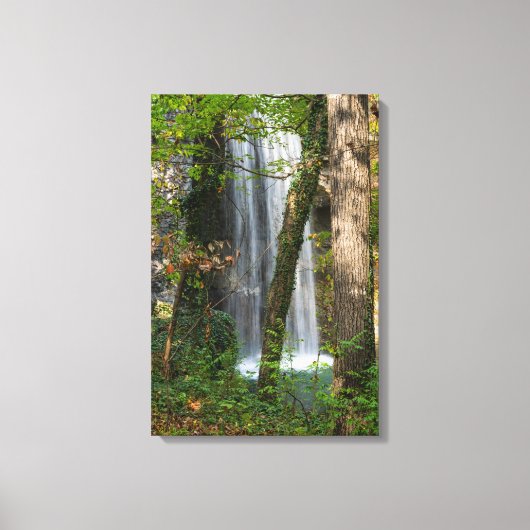 Toile Cascade Dans Les Bois (Recto)