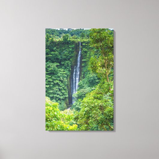 Toile Cascade de Papapapaitai dans la jungle (Recto)
