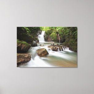 Toile Cascade d'Ojochal, Costa Rica