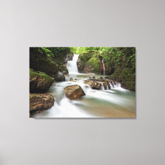 Toile Cascade d'Ojochal, Costa Rica