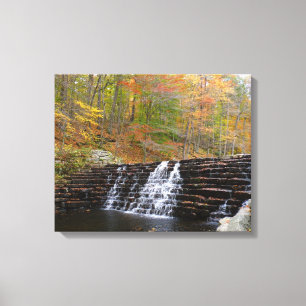 Toile Cascade du parc national Laurel Hill I