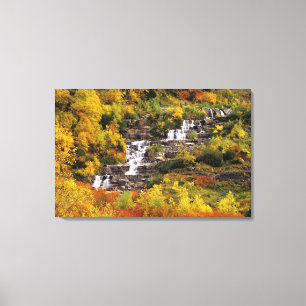 Toile Cascade en dessous du mont Cannon dans le parc nat