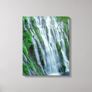 Toile Cascade pittoresque, Californie