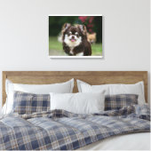 Toile Casque long Haired Chihuahua 1 (Insitu(Chambre))