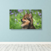 Toile Casquette Poméranie (Insitu (Plancher de Bois))