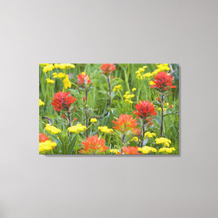Toile Castilleja et biscuitroot fleurs sauvages