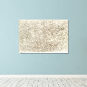 Toile Castres (Insitu (Plancher de Bois))