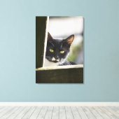 Toile Cat (Insitu (Plancher de Bois))