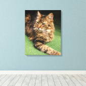 Toile Cat (Insitu (Plancher de Bois))