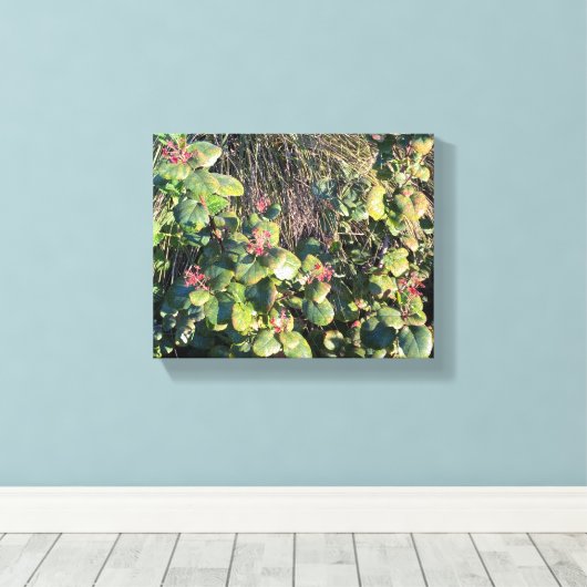 Toile Catalina Currant (Insitu (Plancher de Bois))