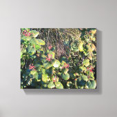 Toile Catalina Currant (Recto)