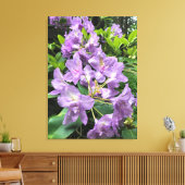 Toile Catawbiense Boursault Rhododendrons, Oregon (Insitu(Salon))