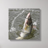 Catfish De Chaîne Qui Saute De L'Eau