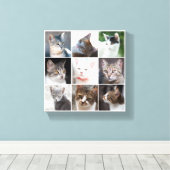 TOILE CATS - MODÈLE (Insitu (Plancher de Bois))