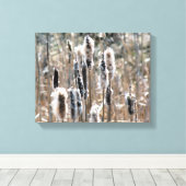 Toile Cattails Fluffés Au Printemps Nature (Insitu (Plancher de Bois))