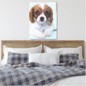 Toile Cavalier King Charles Spaniel Puppy (Insitu(Chambre))