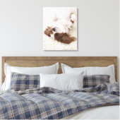 Toile Cavalier montrant le ventre (Insitu(Chambre))