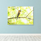 Toile Cèdre (Insitu (Plancher de Bois))