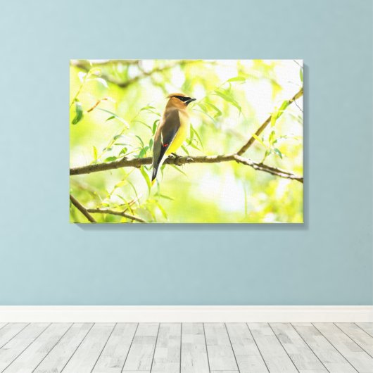 Toile Cèdre (Insitu (Plancher de Bois))