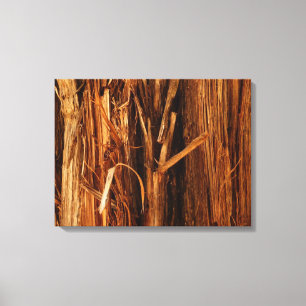 Toile Cèdre texturé en écorce de bois