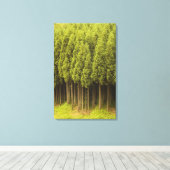 Toile Cèdres Koya Sugi (Insitu (Plancher de Bois))