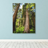 Toile Cèdres rouges de l'Ouest (Insitu (Plancher de Bois))