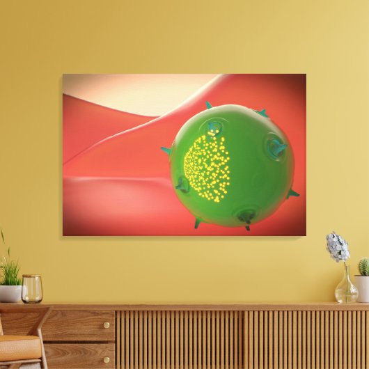 Toile Cellule De Tueur Du Système Immunitaire Inné (Insitu(Salon))