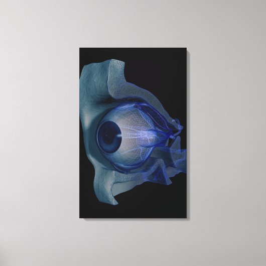 Toile Cellule filaire 3d des muscles oculaires dans une  (Recto)