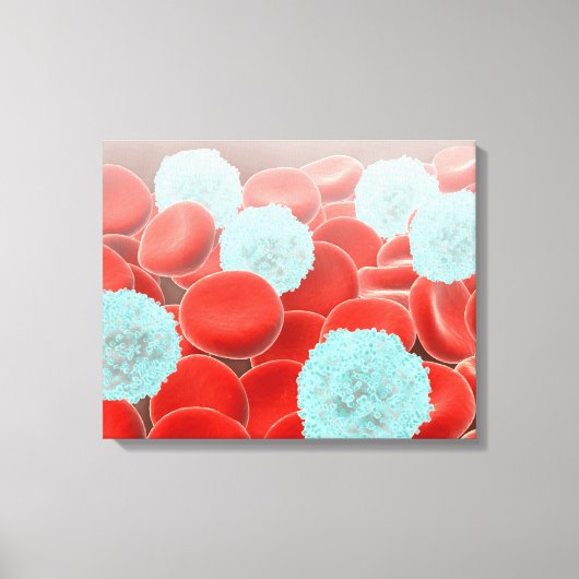 Toile Cellules de sang rouge avec cellules de sang blanc (Recto)