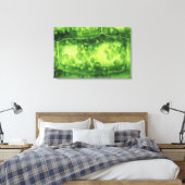 Toile Cellules Plantes Elodea (Insitu(Chambre))