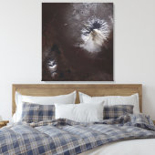 Toile Cendres de cendres sur le volcan Shiveluch en Russ (Insitu(Chambre))